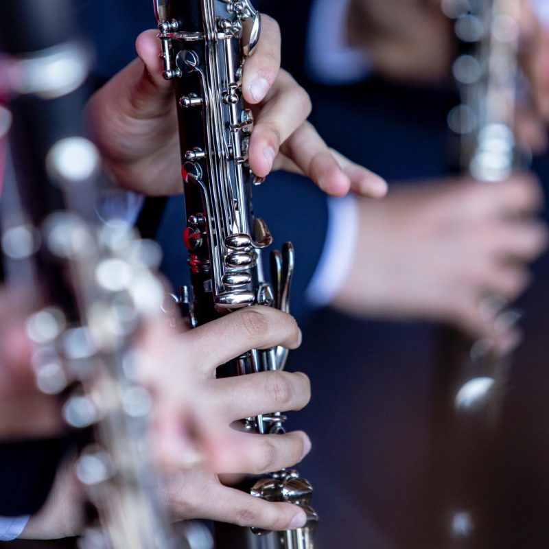 pexels-carlos-araujo-13907004