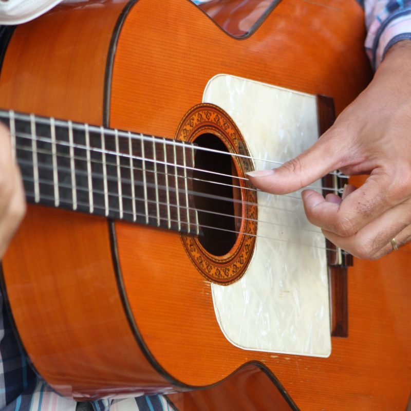 pexels-elena-12429253