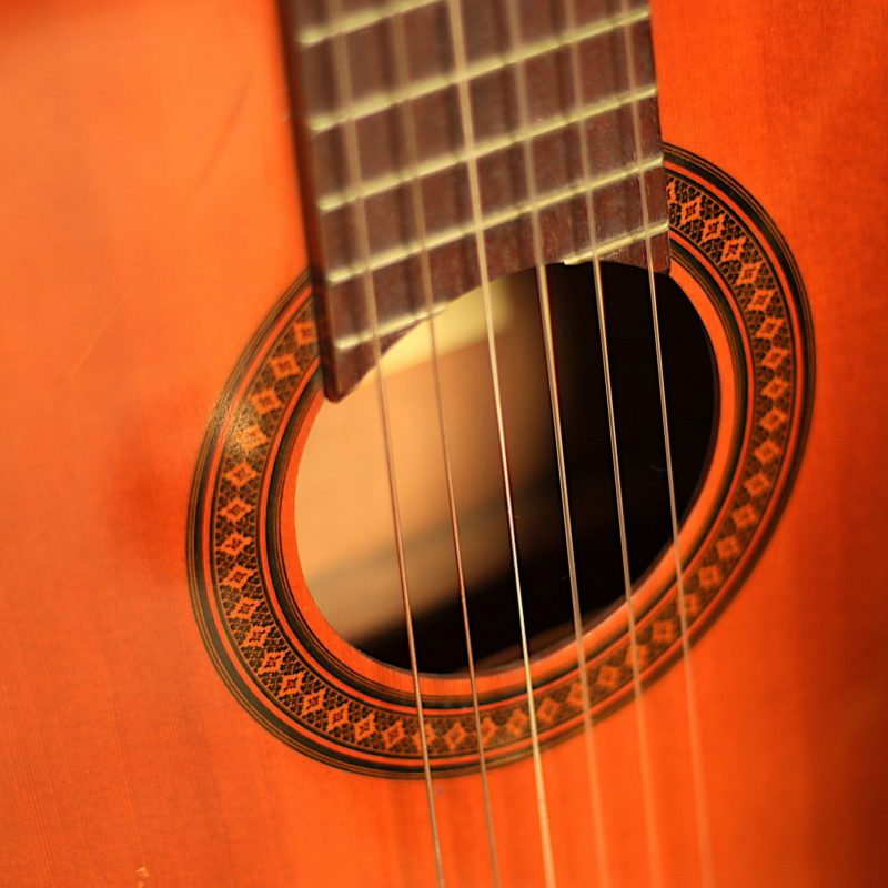 pexels-james-ranieri-4836388